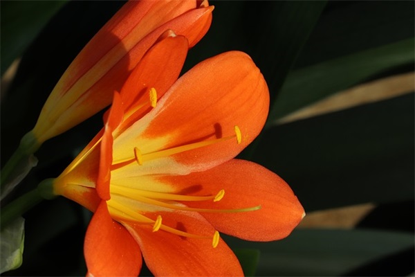 带豳快的网名昵称