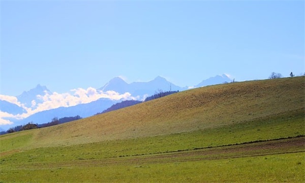 带幸运的网名2025