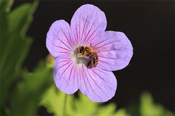 温柔小女人的网名(优选212个)