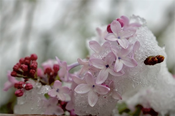 蕴含着人生哲理的网名(共203个)