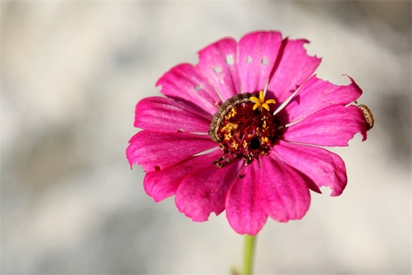 宠溺到爆的情侣网名，独宠一人