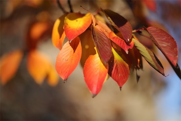 2025年最流行的微信网名(共1203个)