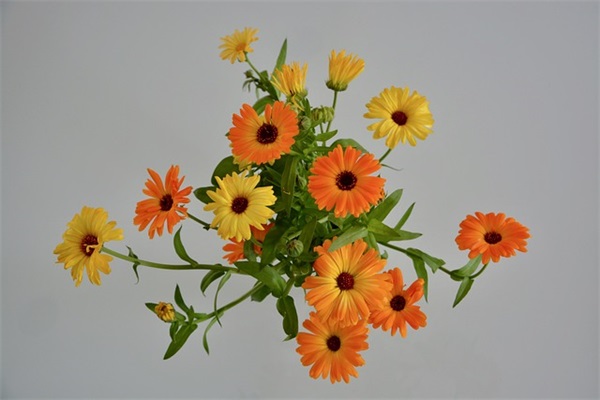 最新小清新网名大全