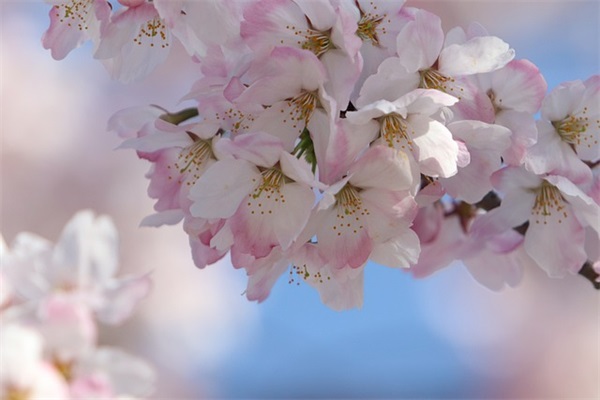 带明雨的网名女生霸气