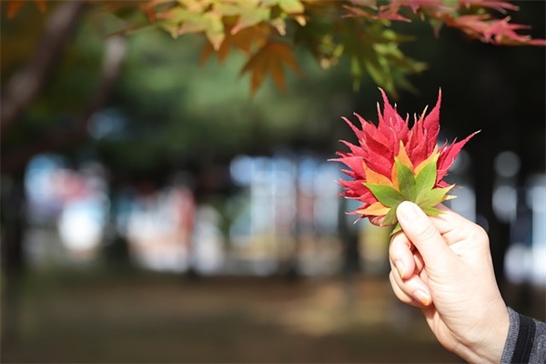 带姓氏的沙雕网名 田