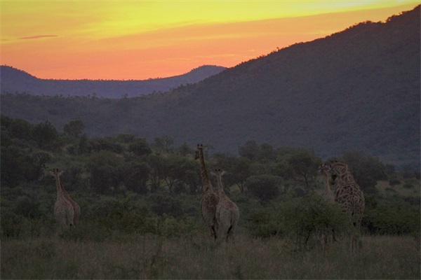 女生网名沙雕可爱