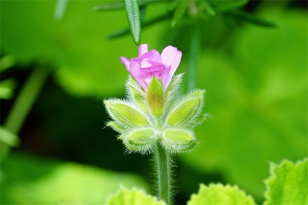 独一无二的微信名字