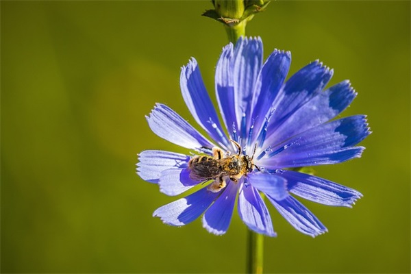 qq情侣网名简单好听的