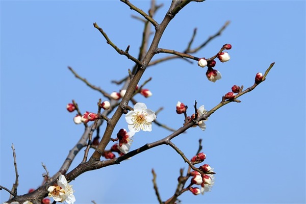 最新四个字的网名大全