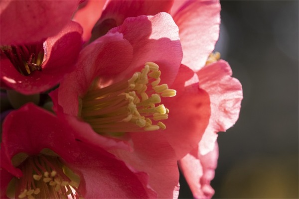 情侣名字超甜一对【精选500对】