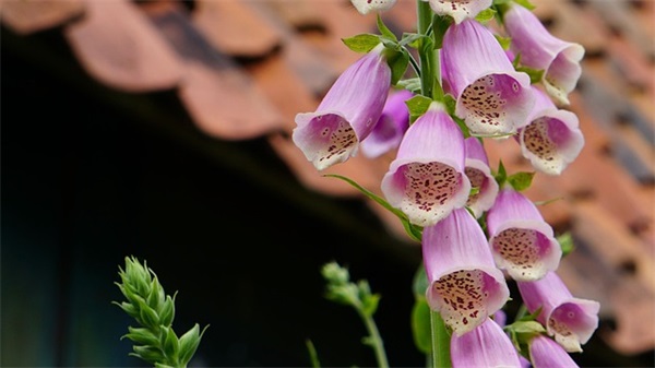 成熟稳重的男生微信网名850个