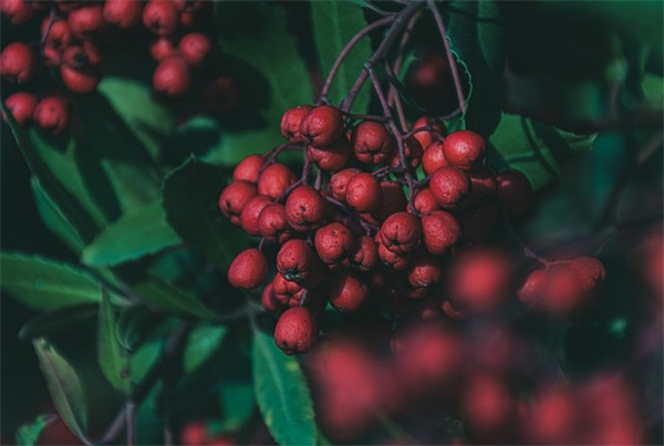 微信名符号图案（精选620个）