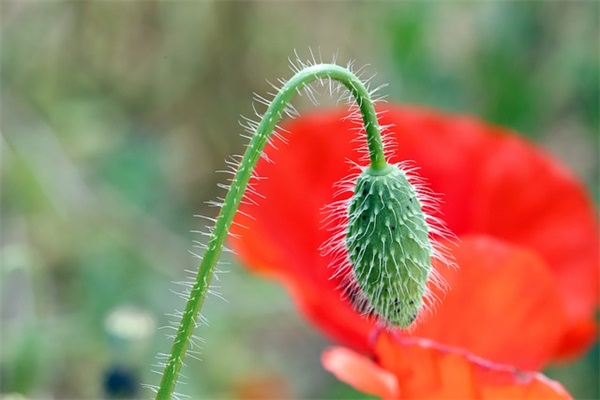 好听的新浪微博名字大全
