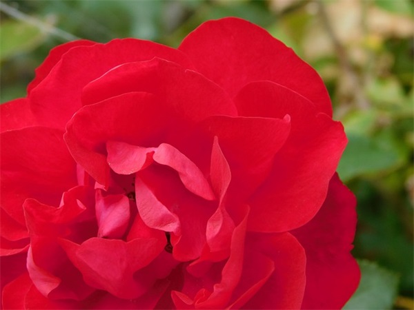 简单大气的微信昵称(优选761个)