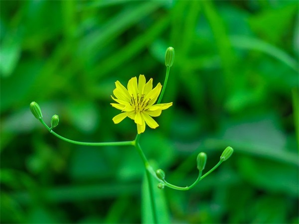 简单大气的微信昵称(共761个)