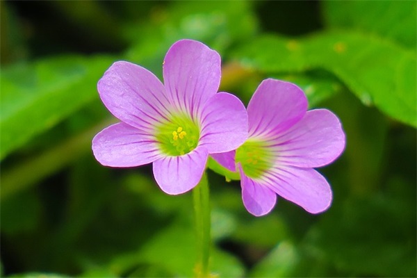 霸气的网名四个字(精选772个)