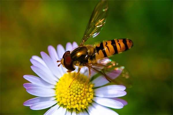带哲带涵的网名大全女生