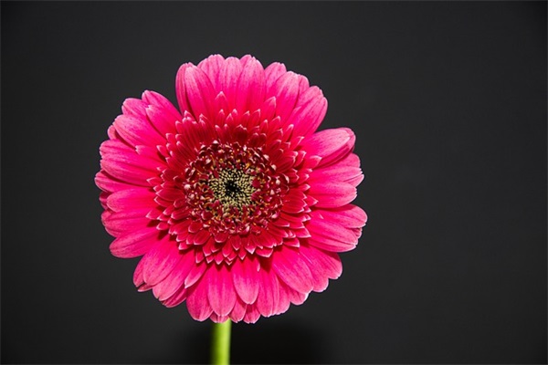 高级的网名带香的名字