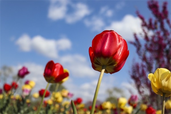 黑暗荣耀经典台词语录：印象深刻，直戳人心！