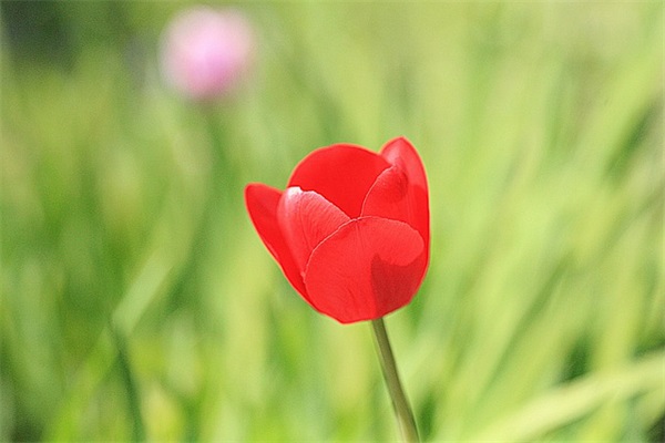 最新伤感繁体字网名(共365个)