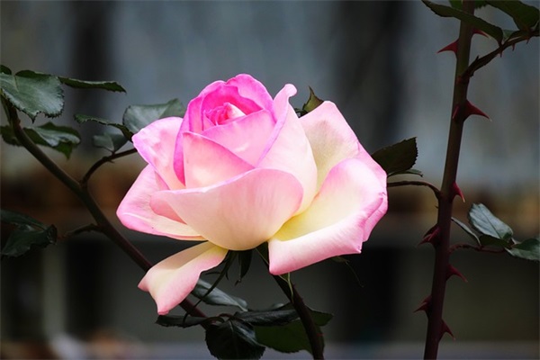 武侠类游戏名字