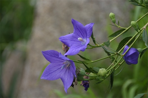 干净好听的五字游戏昵称，五个字的游戏名字诗意