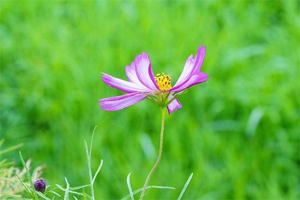 带有静字的网名(195个)