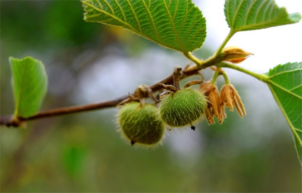 思念朋友的游戏名字(184个)