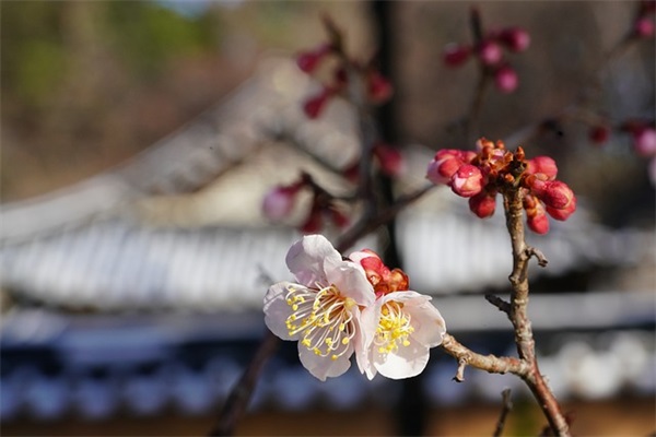 好听大气响亮微信名字女生