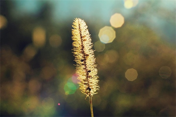 qq个性繁体字男生网名(精选161个)