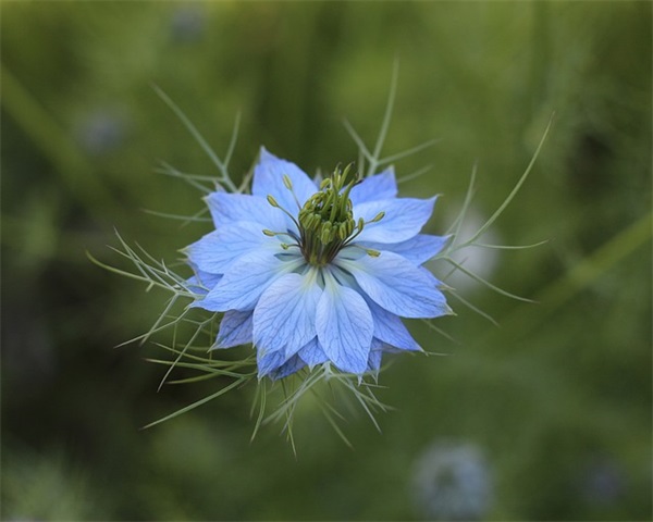 带弓字可靠的网名昵称