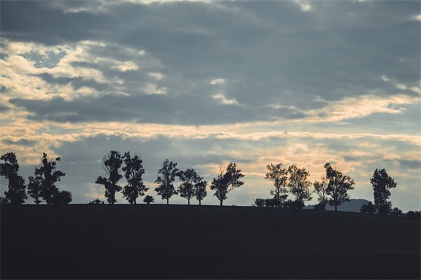 带弓字酷炫的网名昵称