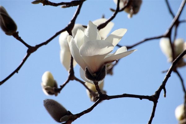 带弓字情缘的网名昵称