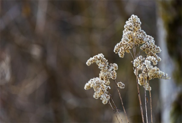 zx开头的微信网名