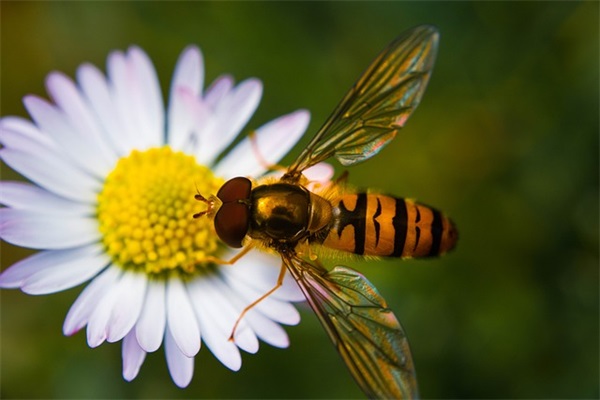好听的网名女唯美