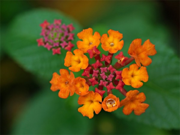 微信网名学生超拽