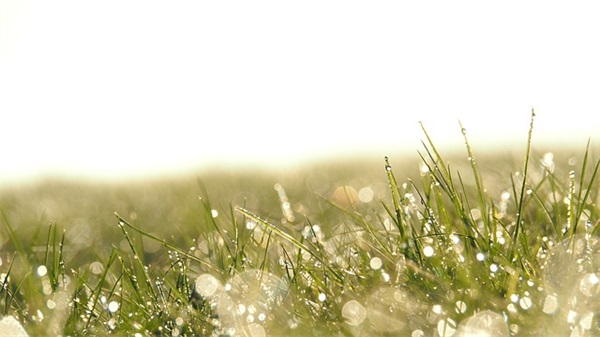 简单又有内涵的qq网名精选(318个)