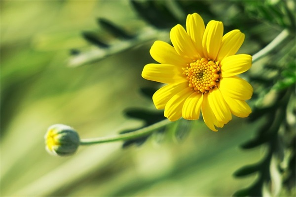 三个字好听网名女生(精选361个)