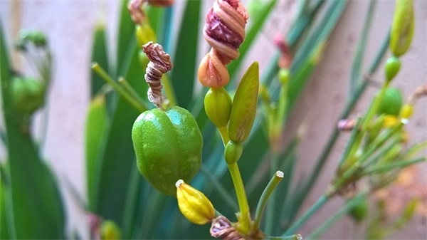 好听又抑郁的二字网名(413个)