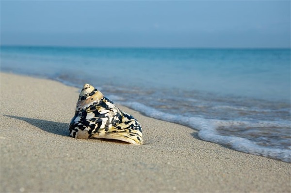 有意思的女生网名(精选315个)