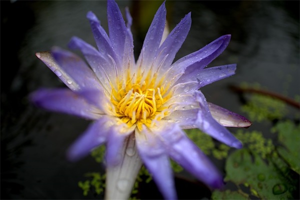 微信名字 昵称 好听英文（合集90个）