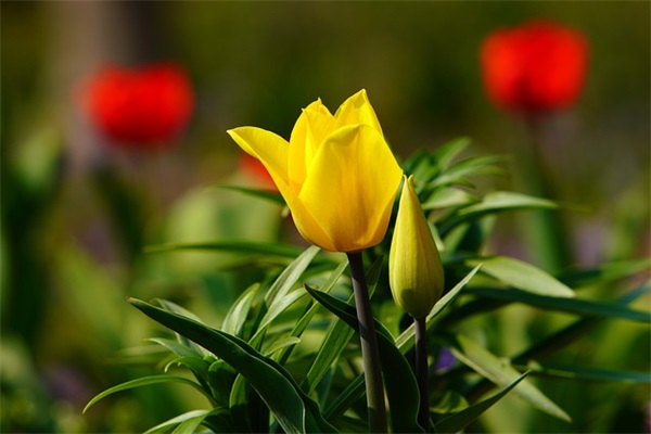 唯美的网名英文名字大全(精选119个)