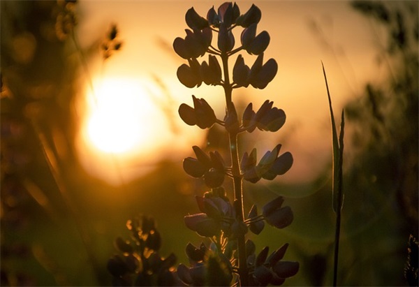 吃鸡搞笑情侣名(精选67对)