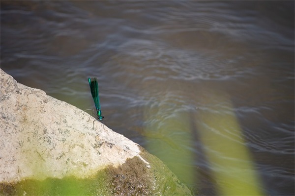 刺激战场猥琐的名字(129个)