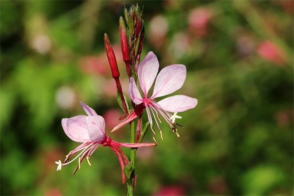 很明显是CP网名(精选81个)