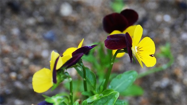 成熟干练的微信男生网名(精选134个)