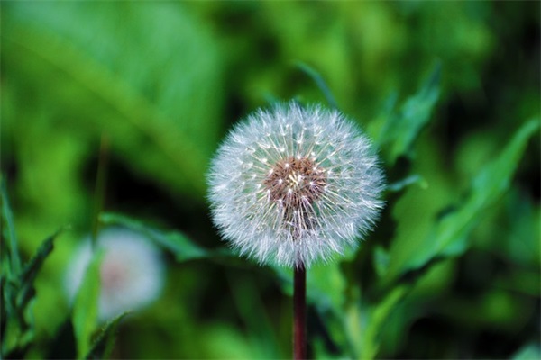 姓夏的女孩qq网名