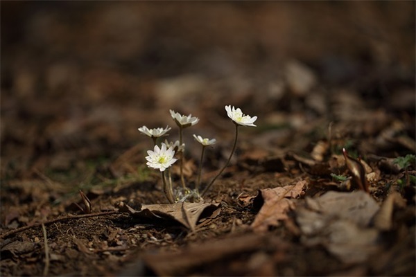 100个搞笑的网名精选