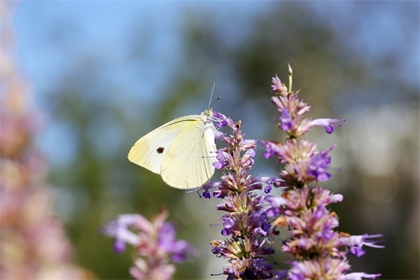 看似简单却有深意的网名(精选98个)