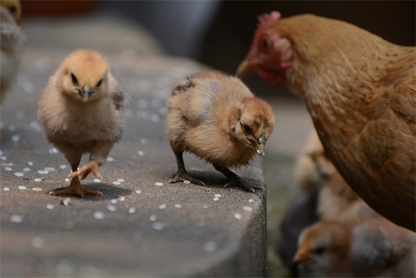 情侣带符号网名大全(优选71个)